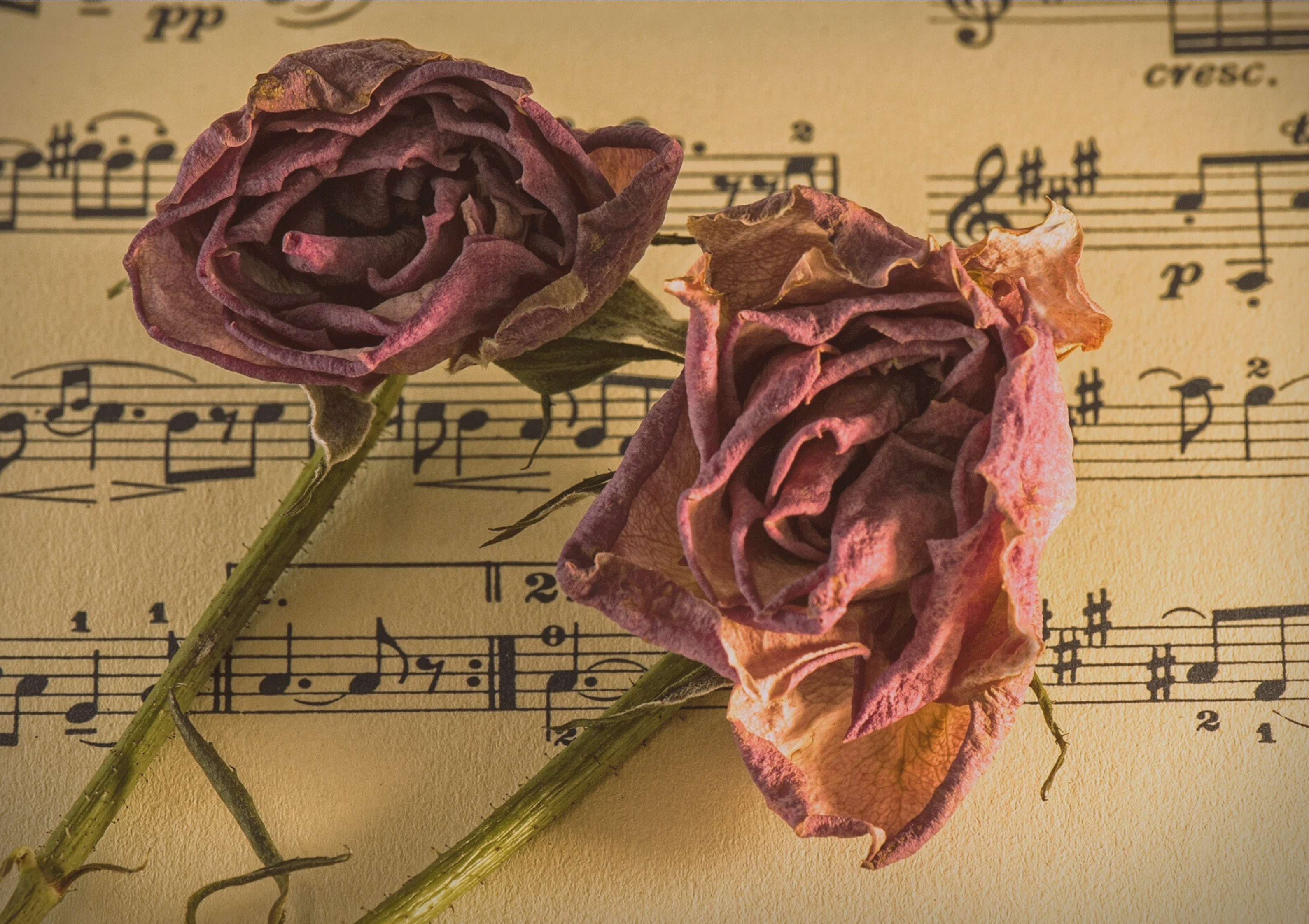 Taylor Swift’s Eras Tour Is a Marketing Masterclass — Here’s Why